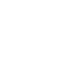 home-icon